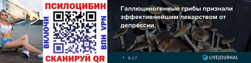 Псилоцибиновые грибы GOLDEN TEACHER  Верхняя Тура 