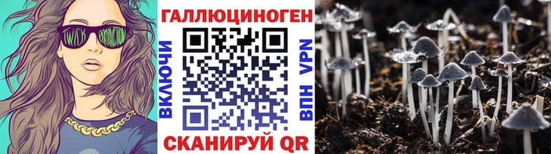 Галлюциногенные грибы Psilocybe Верхняя Тура